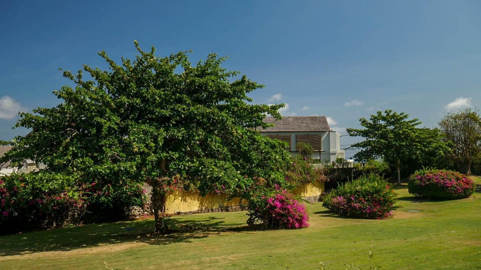 Property building, Spring, Day, Garden, Garden view