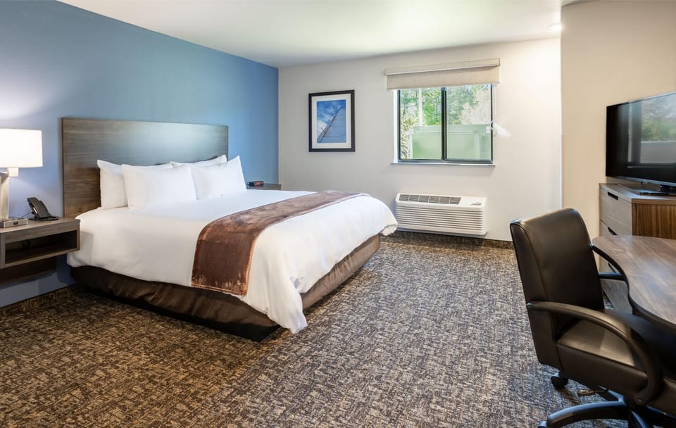 Bed, TV and multimedia, Bedroom