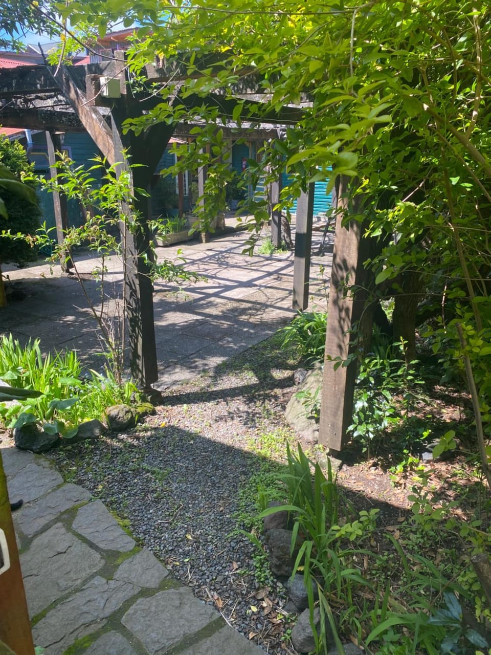 Garden view