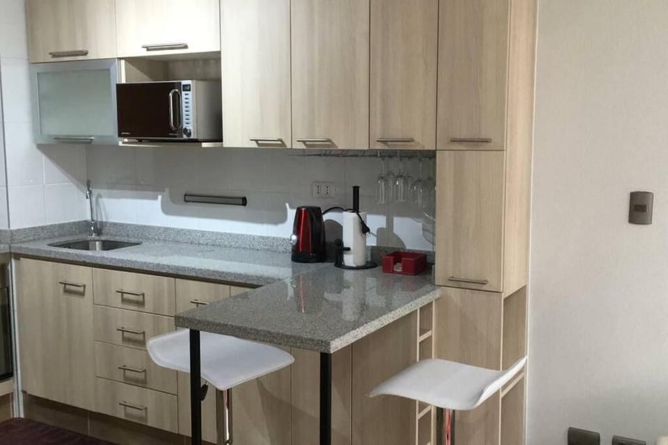 Concepción pleno centro Apartment in Bio Bio, Chile
