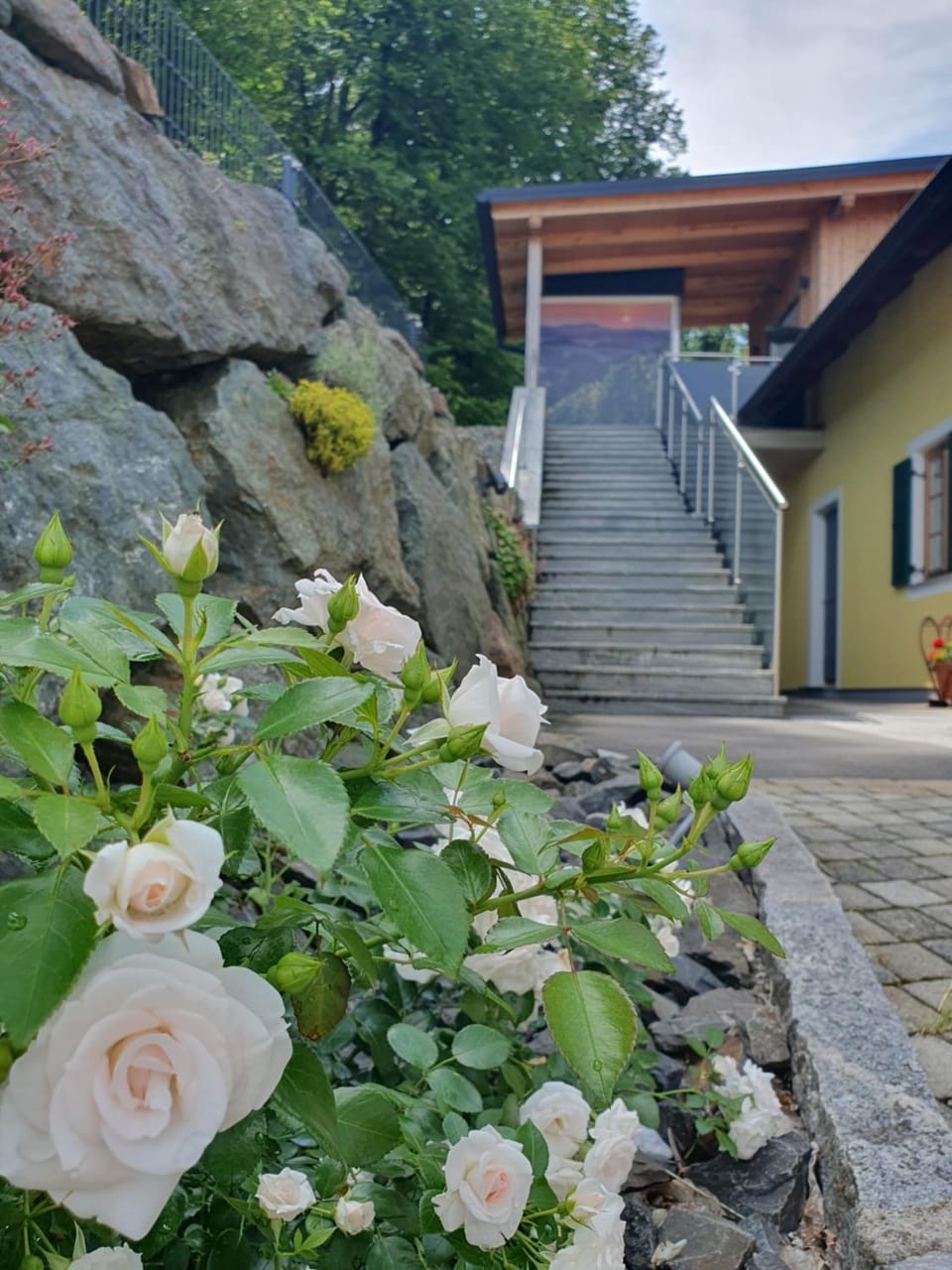 Spring, Garden