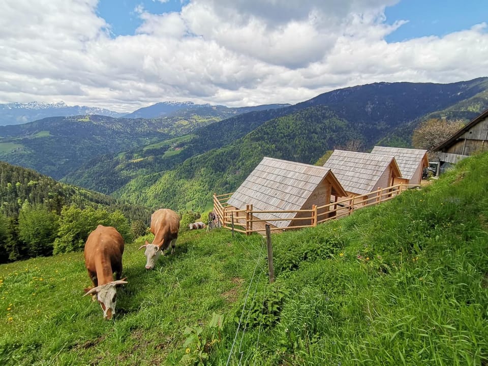 Farmstay&Glamping Visočnik Farm Stay in Carinthia, Austria