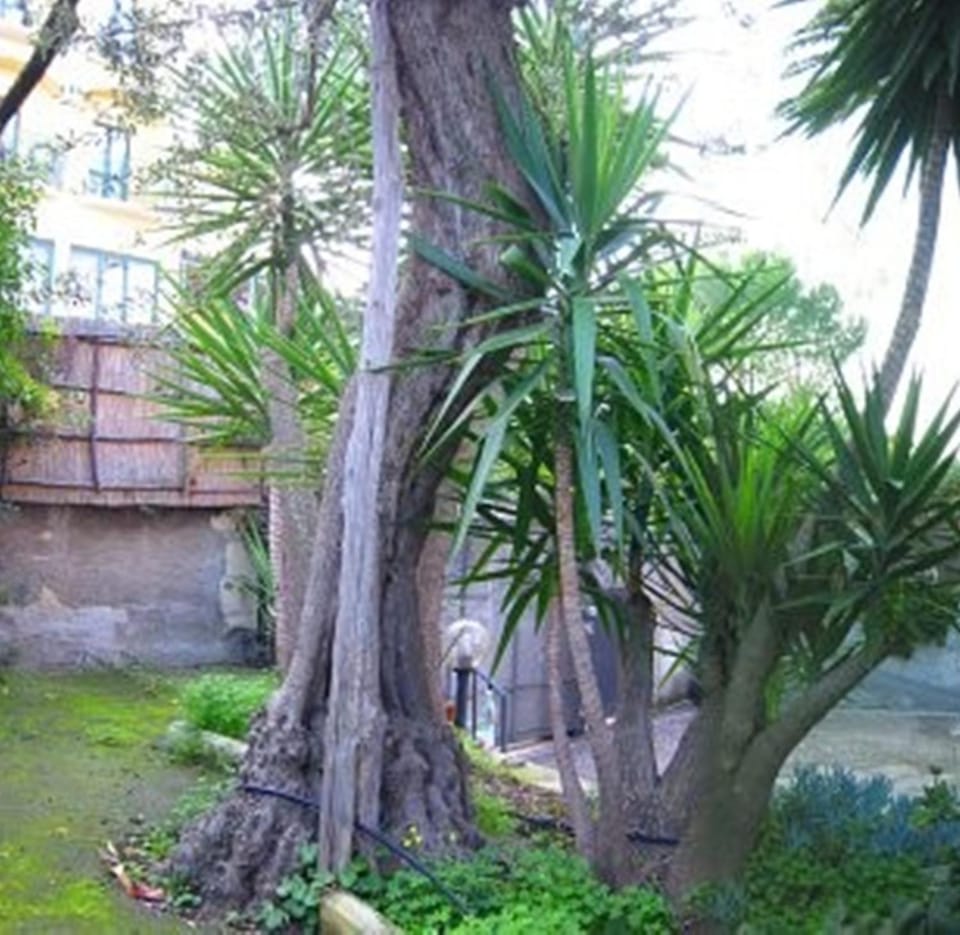 Villa Orchidea Apartment hotel in Sorrento