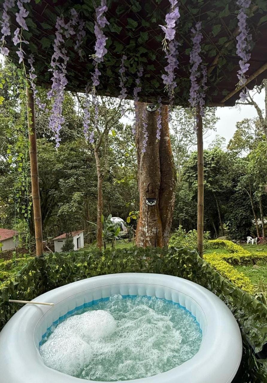 Natural landscape, Garden, Hot Tub, Garden view