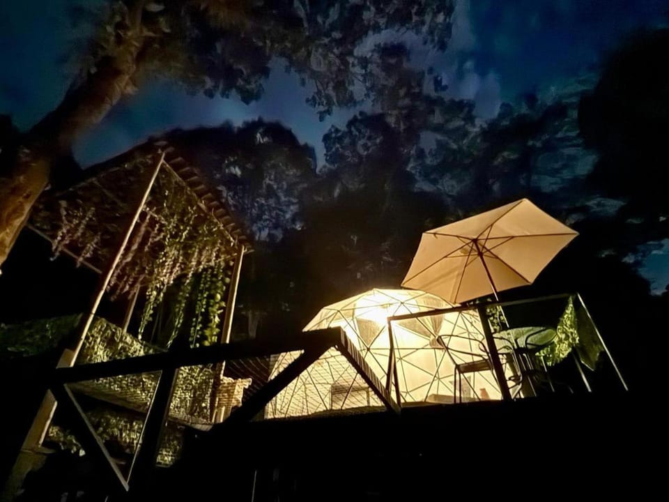 Night, Garden, Hot Tub