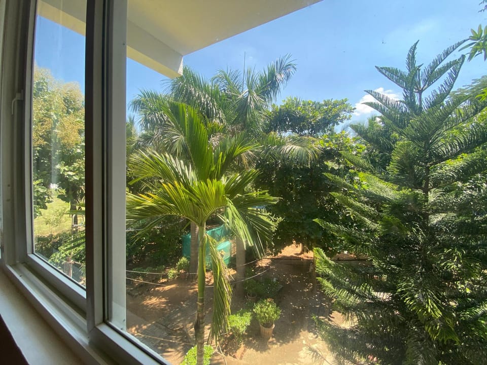 Garden view