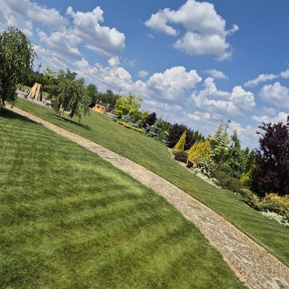 Natural landscape, Garden, Garden view