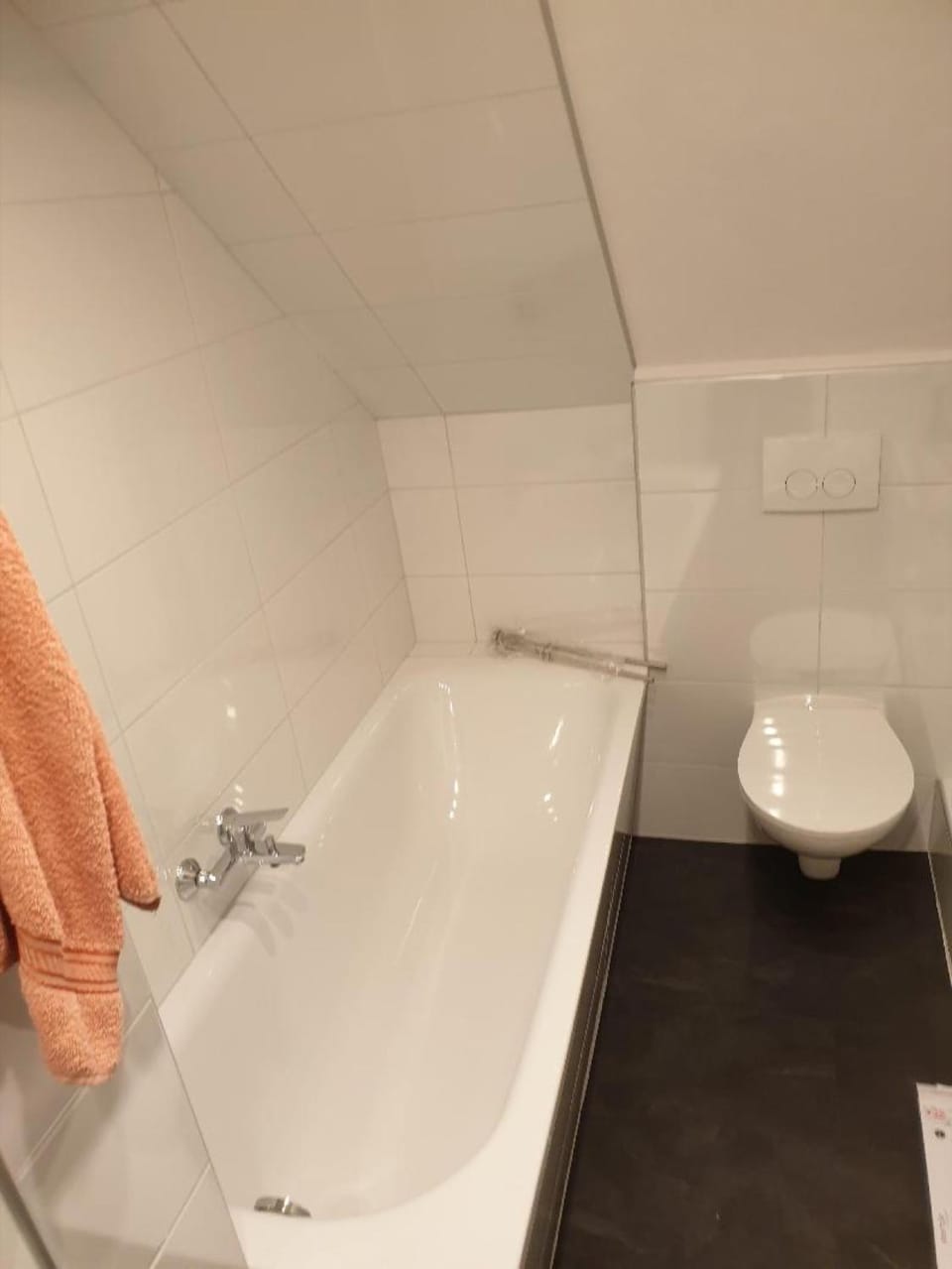 Bathroom, Living room