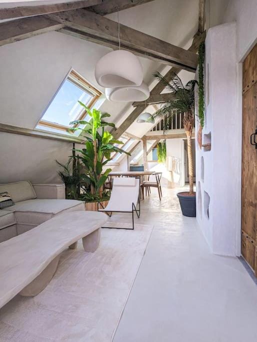 Jungle's Tours Une Oasis en Plein Cœur de la Ville Apartment in Tours