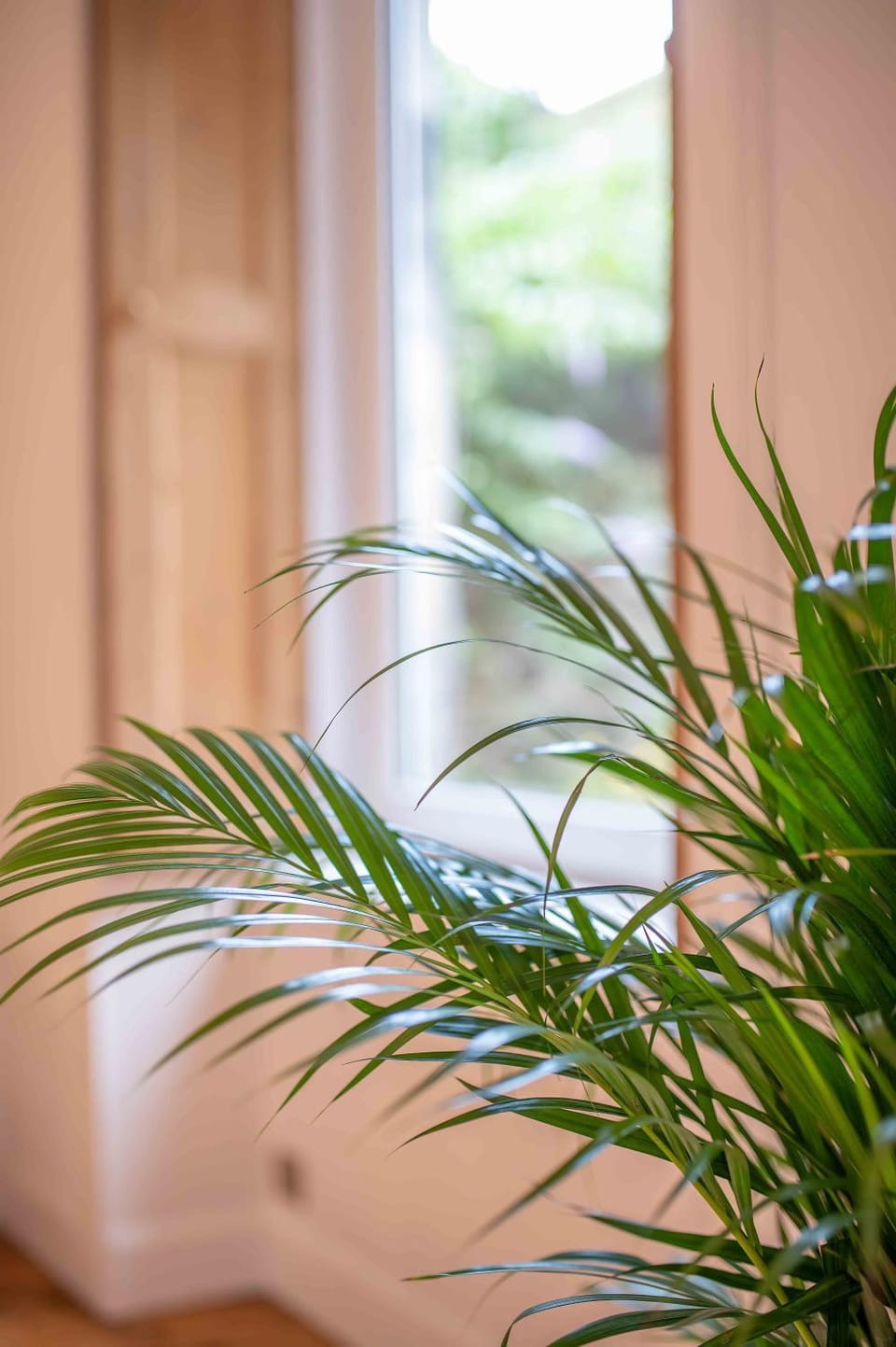 Artists Flat 7 min to R Mile Apartment in Edinburgh