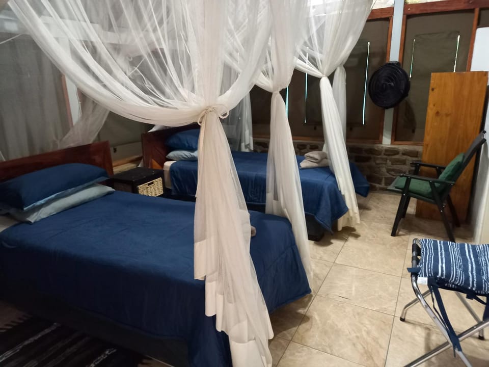Bed