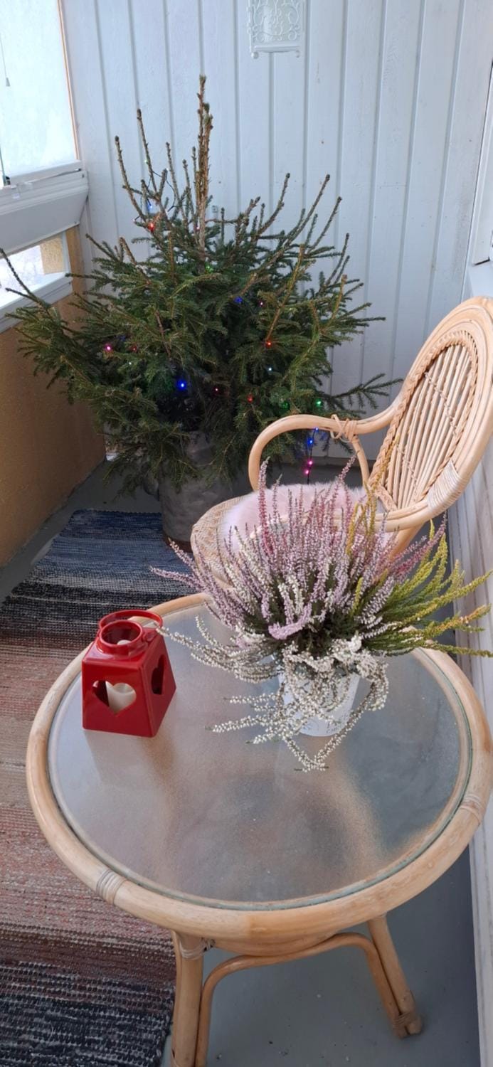 Tunnelmallinen retroyksiö Apartment in Rovaniemi