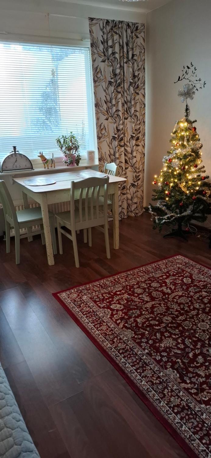 Tunnelmallinen retroyksiö Apartment in Rovaniemi