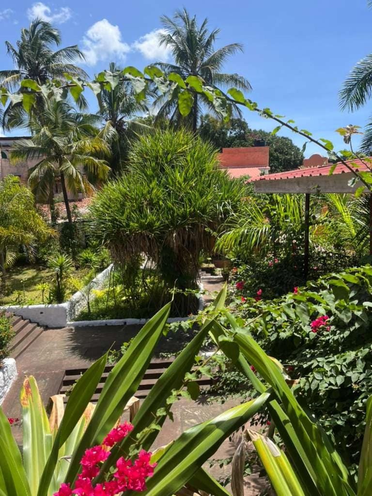 Garden, Garden view