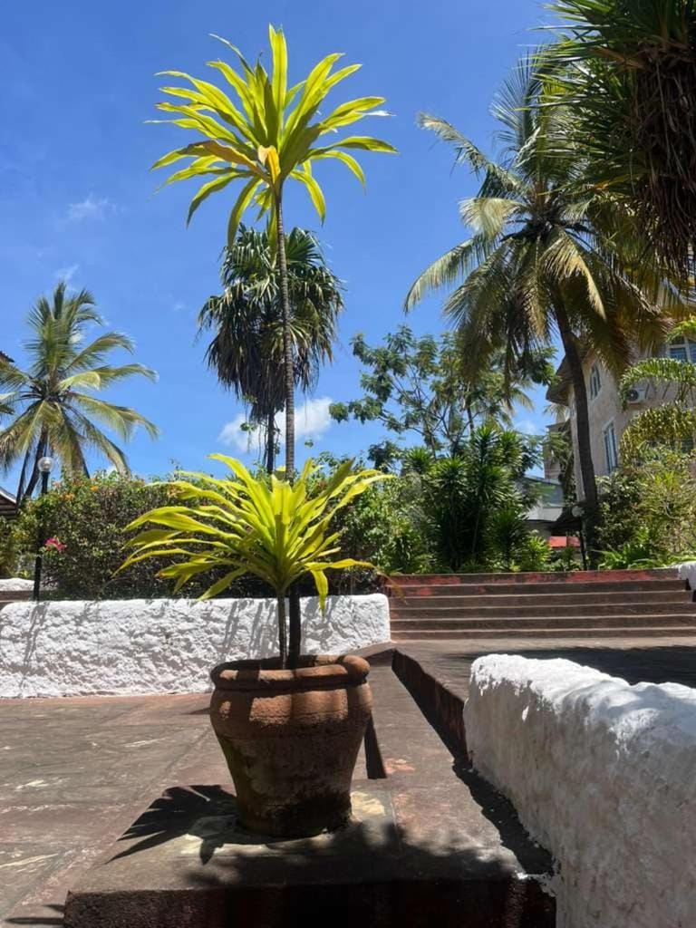 Garden, Area and facilities