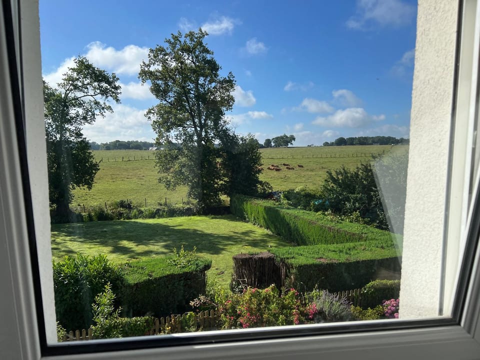 Natural landscape, Garden view