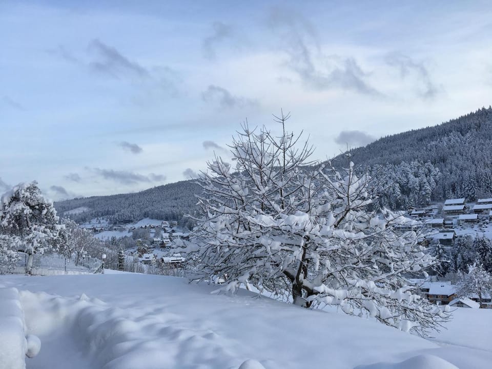 Winter