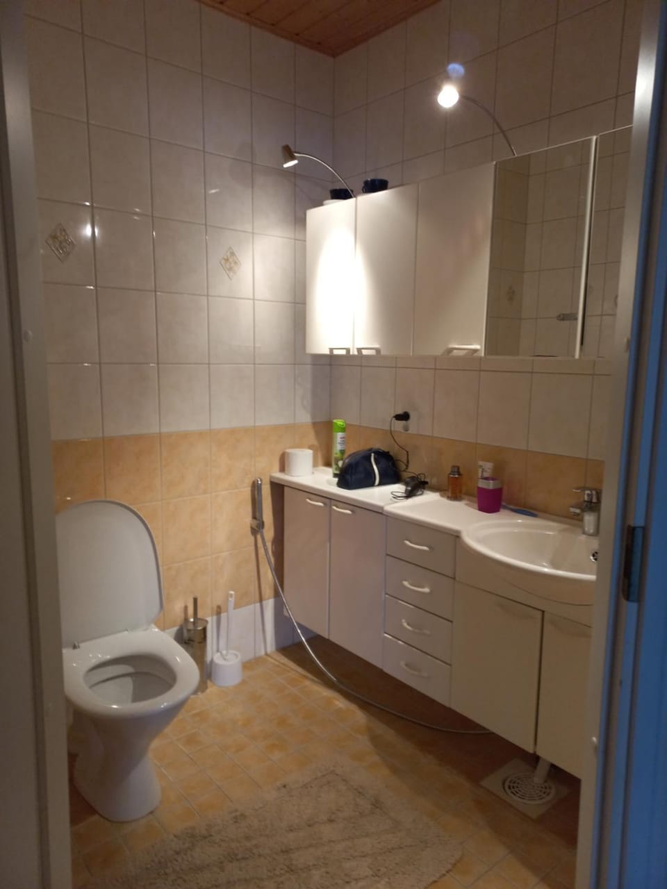 Toilet, Bathroom