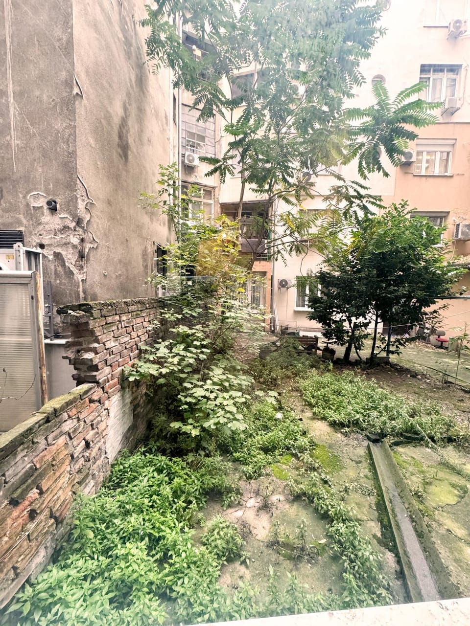 Property building, Day, Garden, Garden view