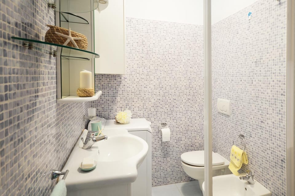 Shower, Toilet, Bathroom, bidet