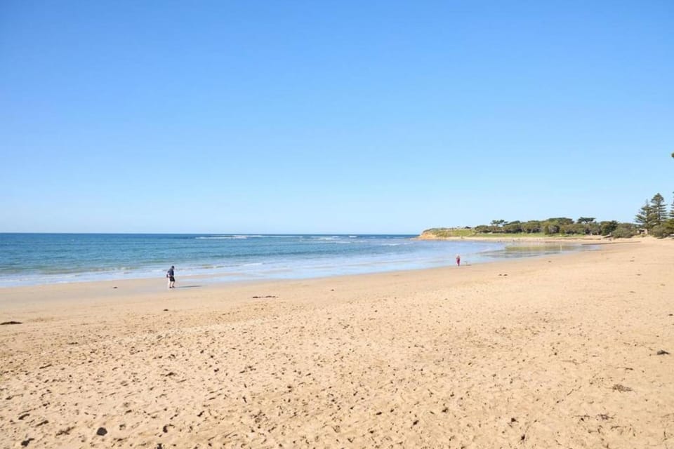 Beach Loft - on the Esplanade Apartment in Torquay