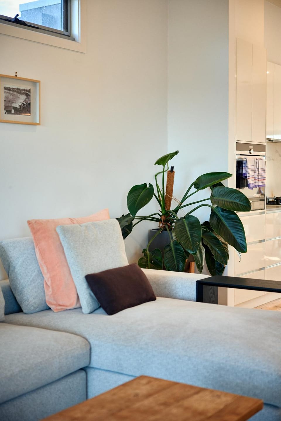 ALMA - sun filled stylish beach house House in Torquay