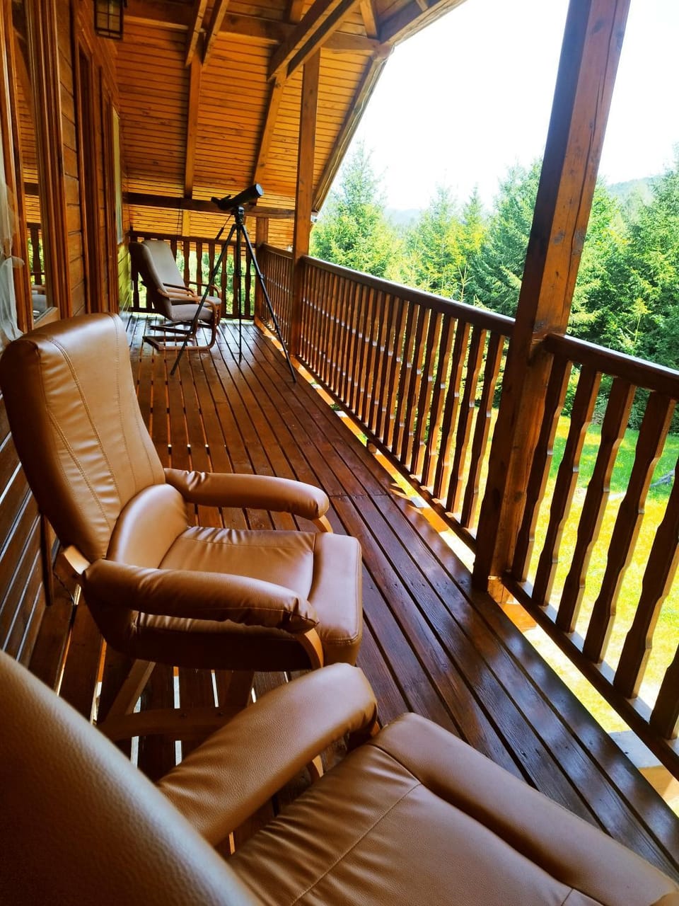 Cottage Piatra Craiului Nature lodge in Brașov County