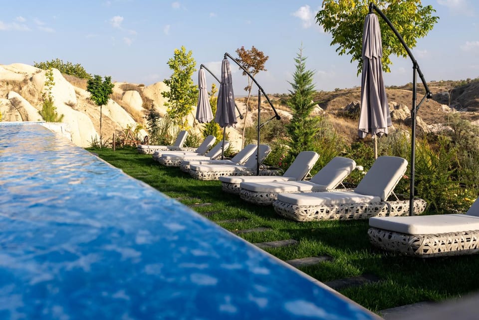 Patio, Garden, Swimming pool, sunbed