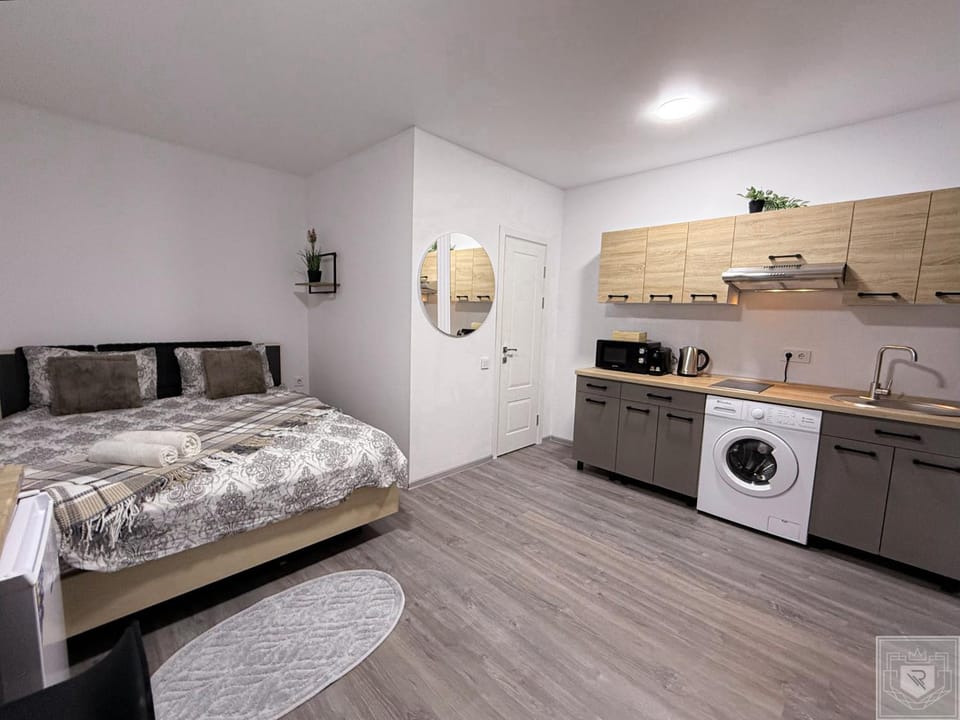 RentHouse Apartments-Old Town Studio #1 Apartment in Chișinău