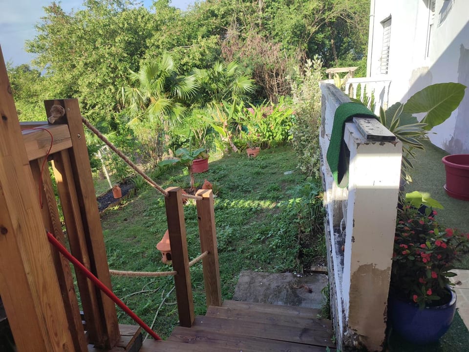 Property building, Garden