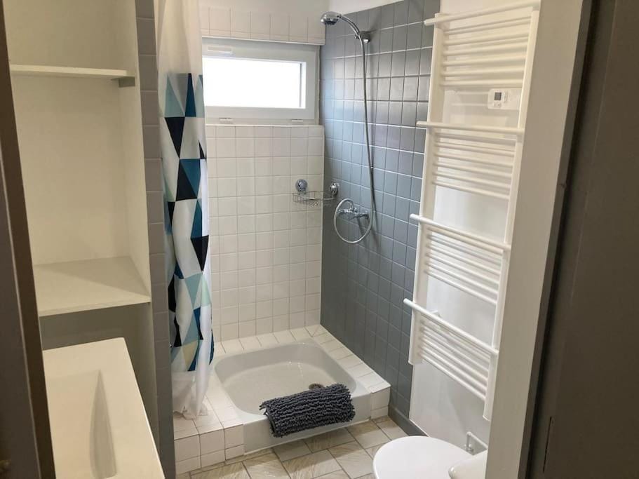 Shower, Toilet, Bathroom, towels