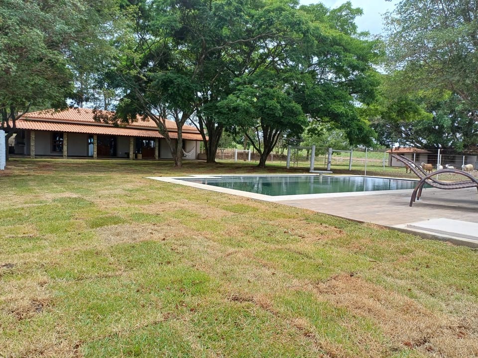Garden, Garden view, Swimming pool