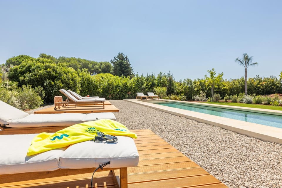 Garden, Swimming pool, sunbed