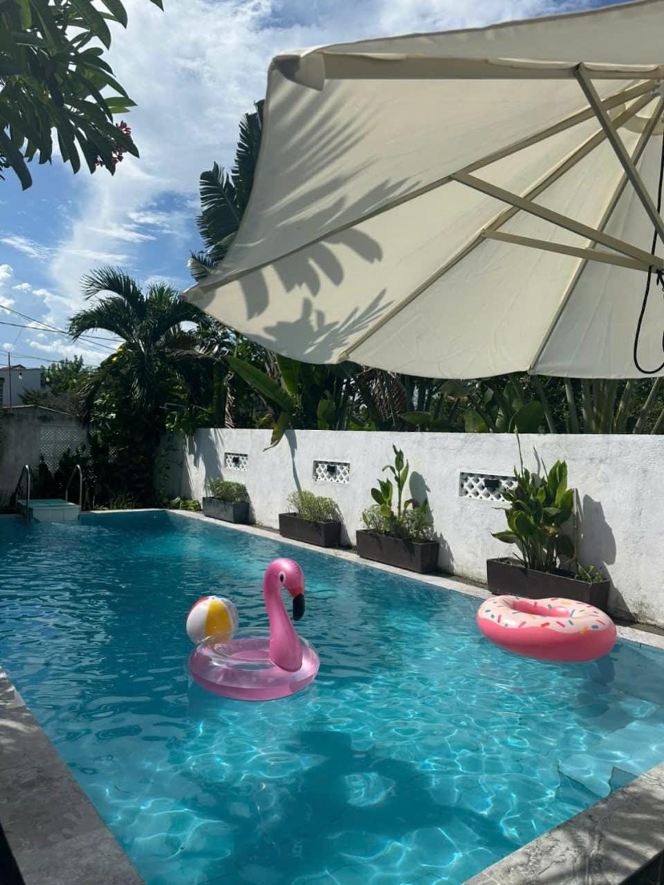 Swimming pool