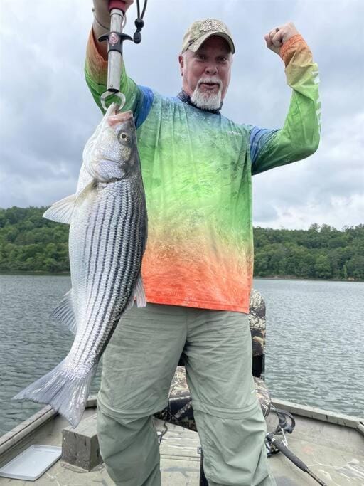 Activities, Fishing, Fishing, Lake view