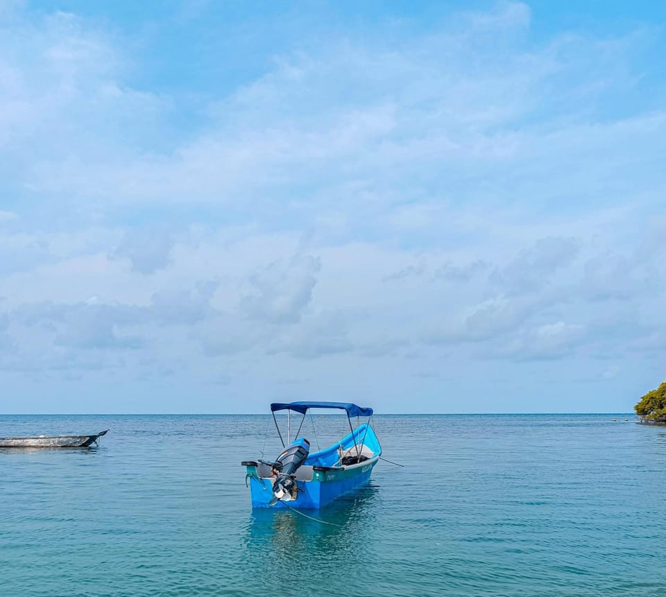 Natural landscape, Sea view