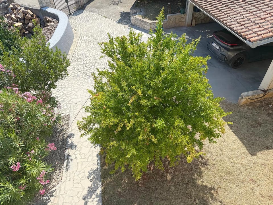 Garden, Garden view