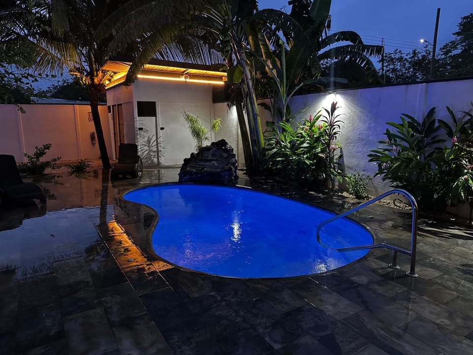 Night, Natural landscape, Garden, Pool view, Swimming pool, Swimming pool