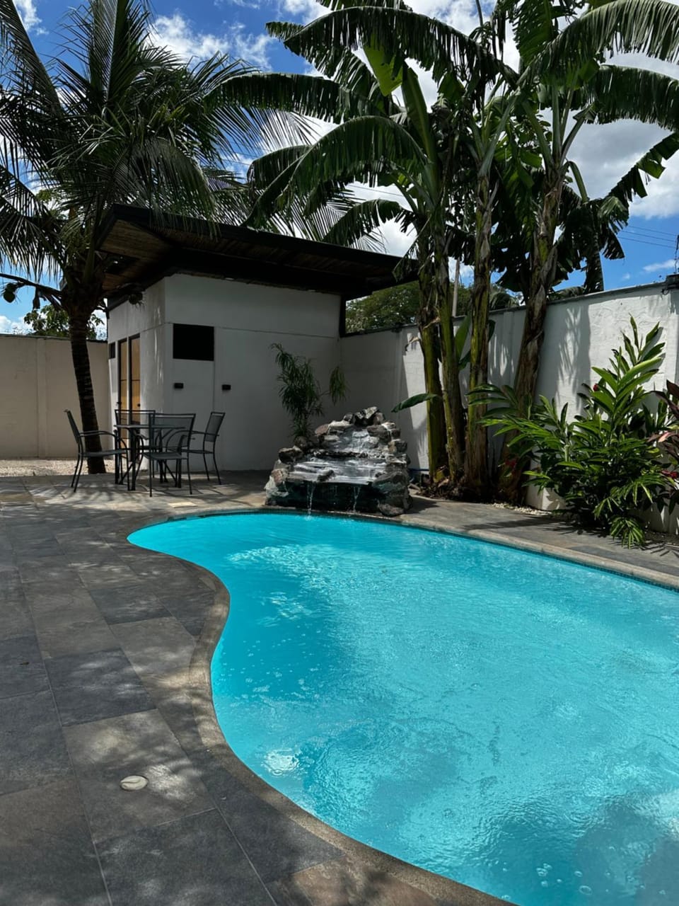 Garden, Swimming pool, Swimming pool