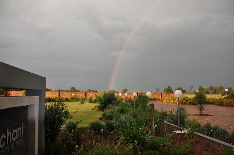 Garden view