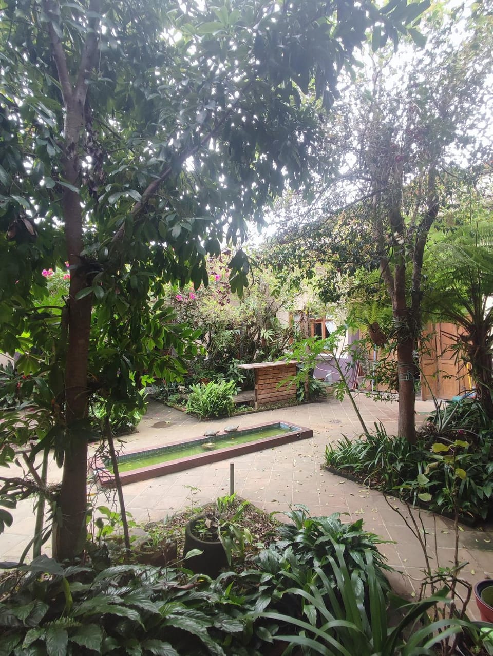 Casa Morfo Cultura Vacation rental in State of Puebla