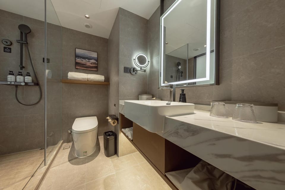 Shower, Toilet, Bathroom, towels