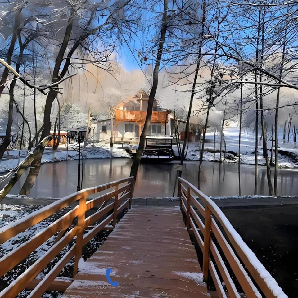 Pensiunea Eurosan Codrii Vlasinului Bed and Breakfast in Cluj County