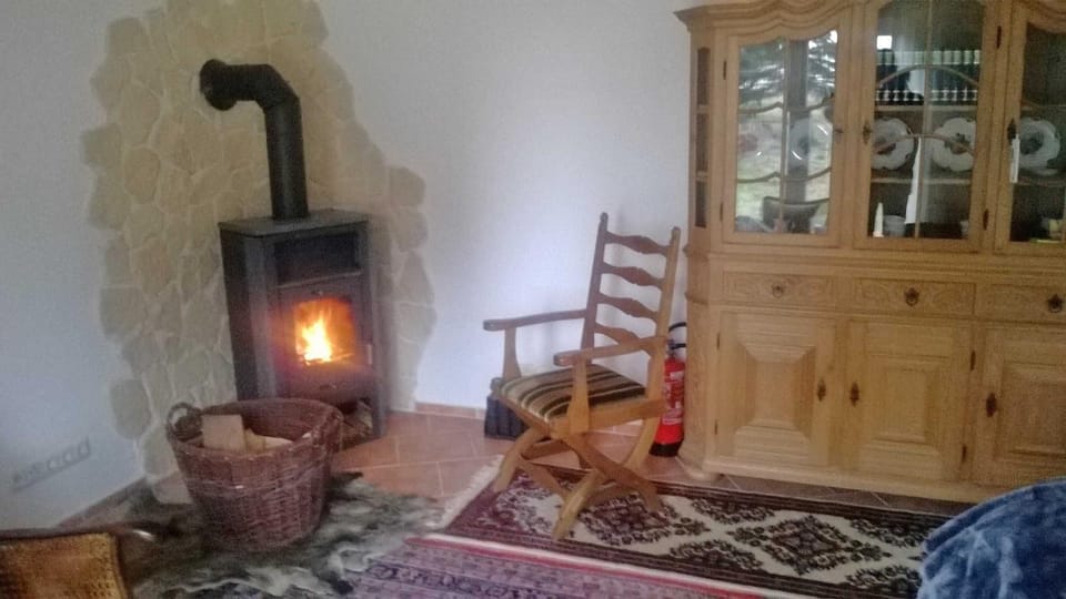 Ferienhaus "Buchholz" House in Mecklenburgische Seenplatte