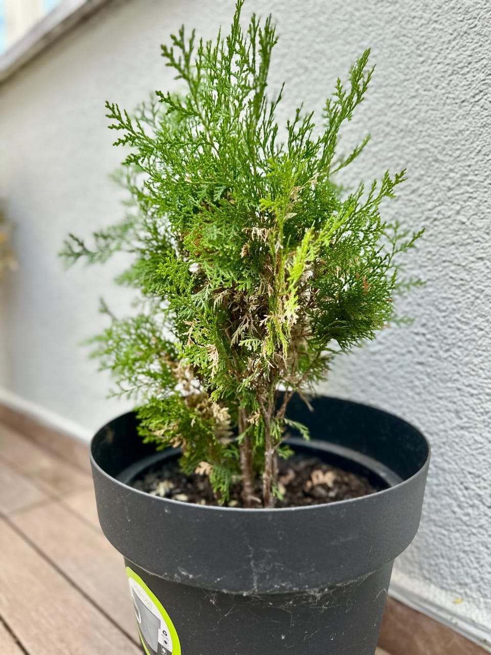 Central District 3 Bedroom Place Apartment in Plovdiv