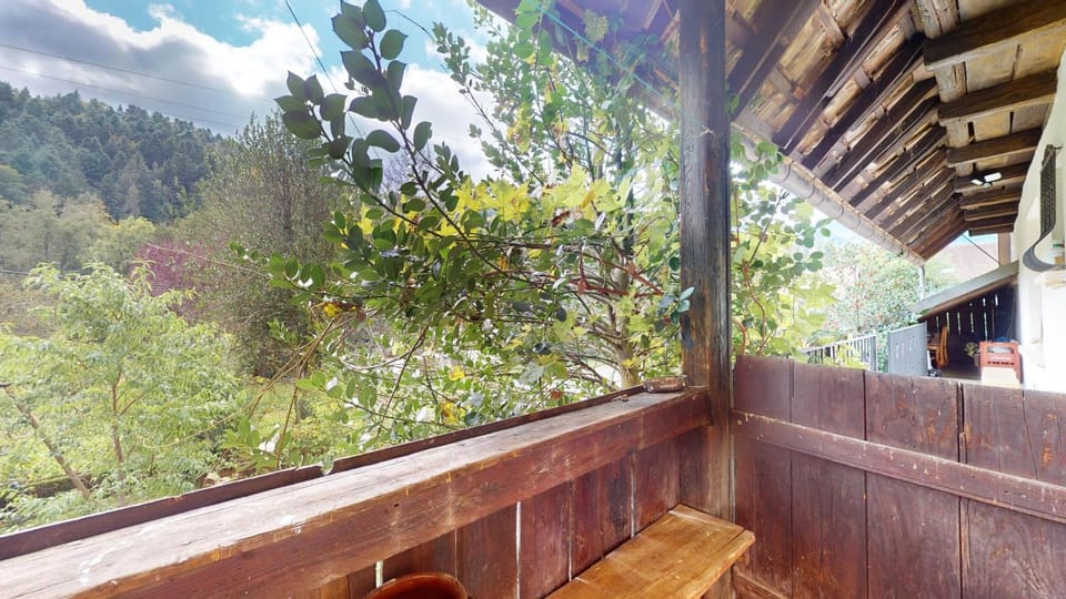 Day, Natural landscape, Garden, View (from property/room), Garden view