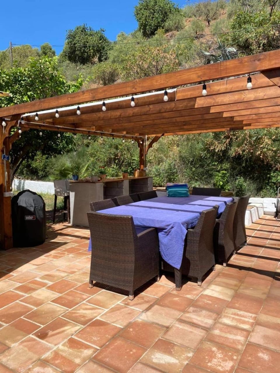 Patio, Garden