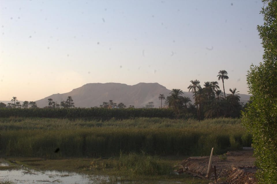 AL Farida Guest House Villa in Luxor