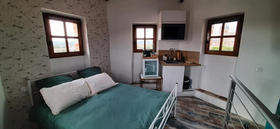 Tour Médiévale Unesco Apartment in Albi