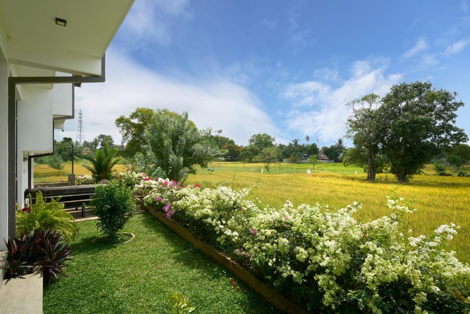 Natural landscape